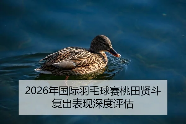 2026年国际羽毛球赛桃田贤斗复出表现深度评估
