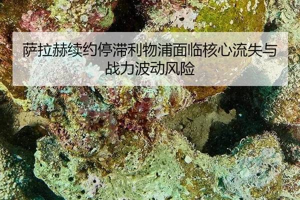 sa-la-he-xu-yue-ting-zhi-li-wu-pu-mian-lin-he-xin-liu-shi-yu-zhan-li-bo-dong-feng-xian-2-859.jpg